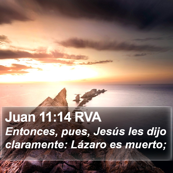 Juan 11:14 RVA Bible Study