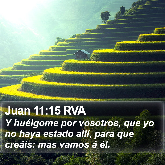 Juan 11:15 RVA Bible Study