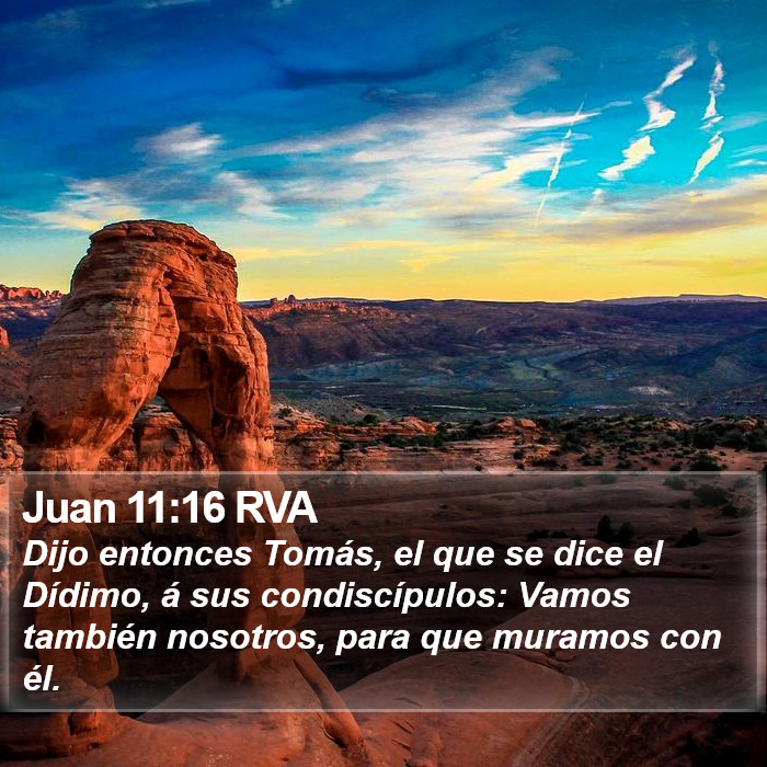 Juan 11:16 RVA Bible Study