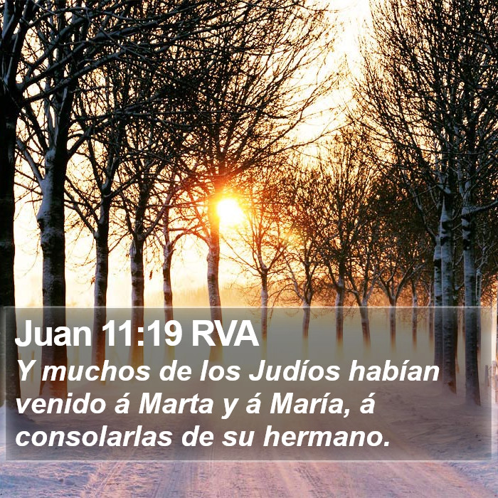 Juan 11:19 RVA Bible Study