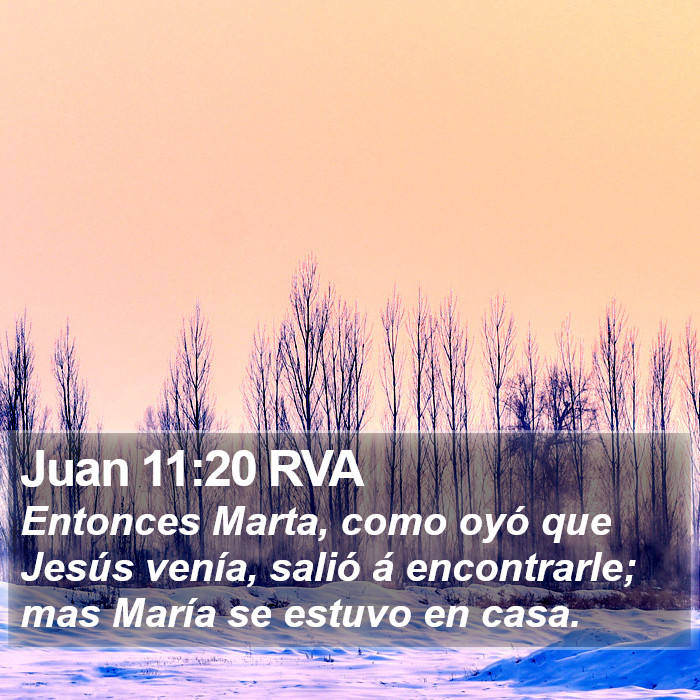 Juan 11:20 RVA Bible Study