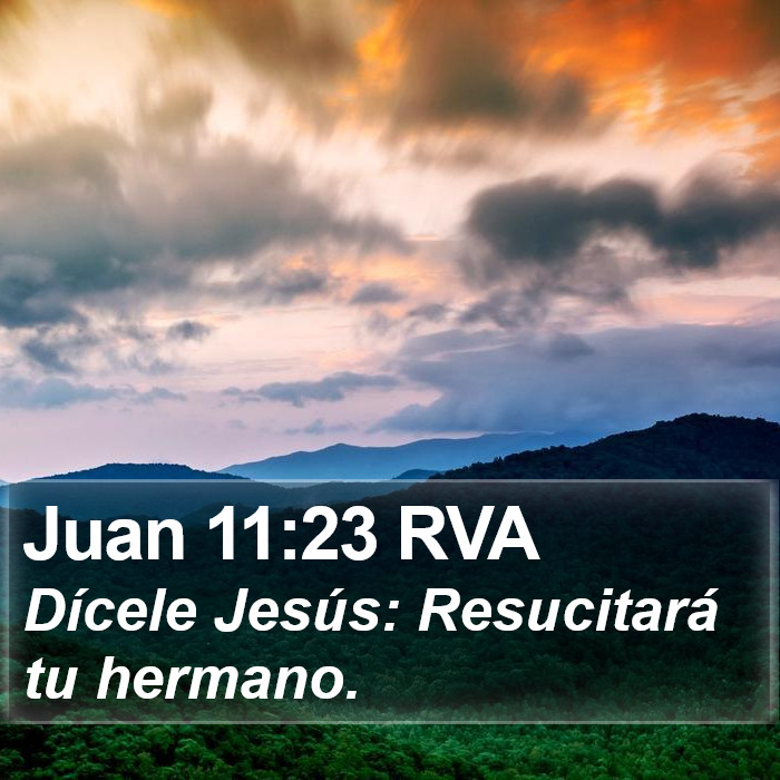 Juan 11:23 RVA Bible Study