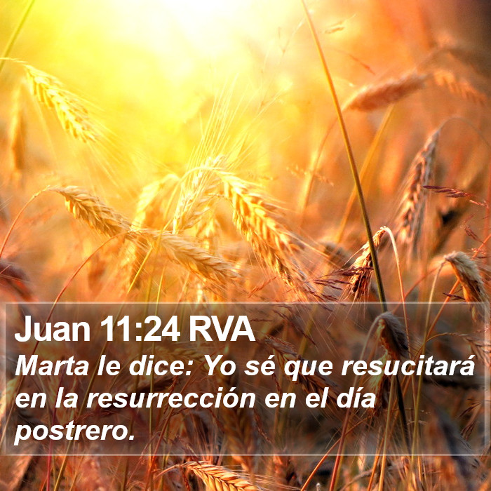 Juan 11:24 RVA Bible Study