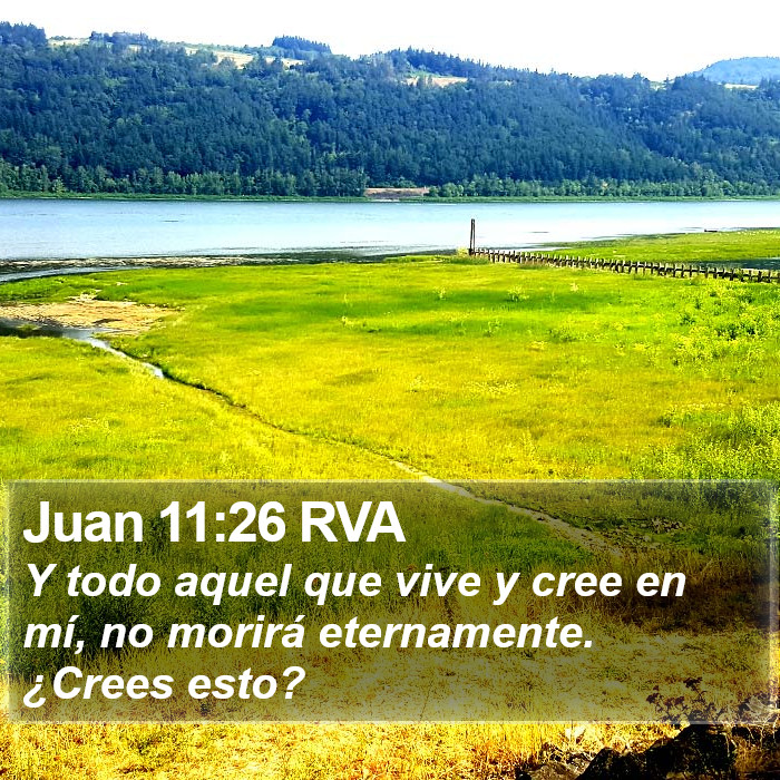 Juan 11:26 RVA Bible Study