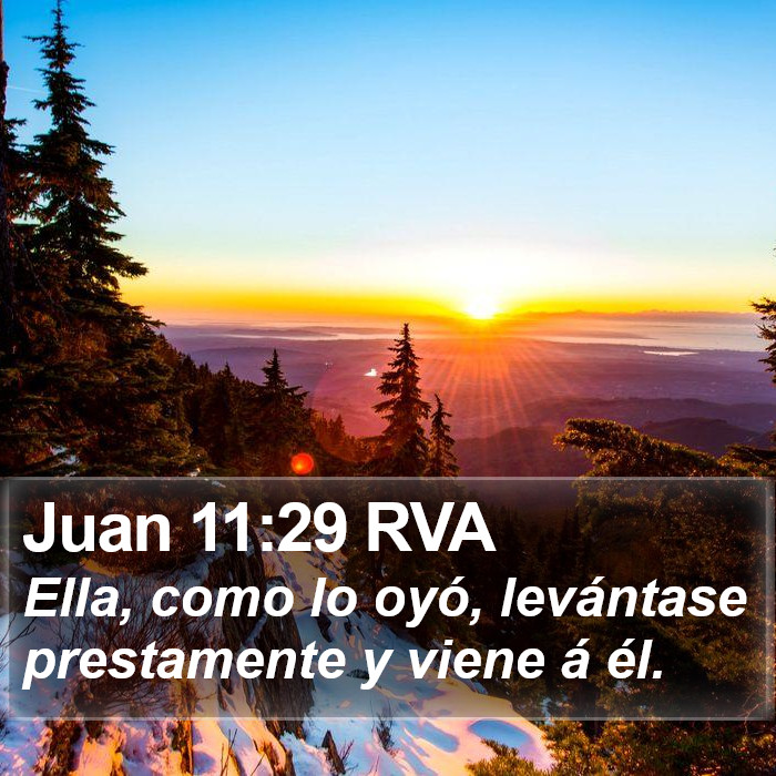 Juan 11:29 RVA Bible Study