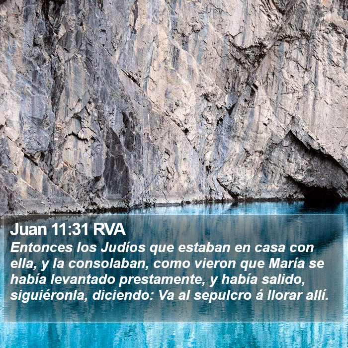 Juan 11:31 RVA Bible Study