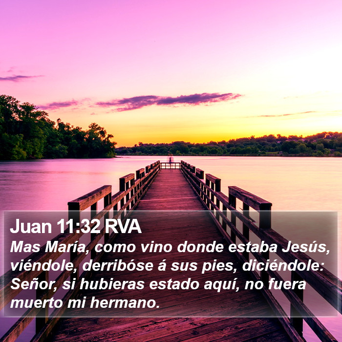 Juan 11:32 RVA Bible Study