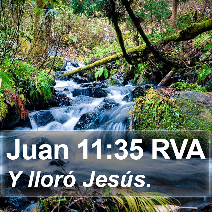 Juan 11:35 RVA Bible Study