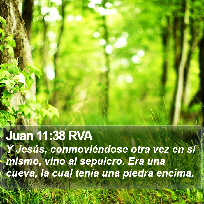 Juan 11:38 RVA Bible Study