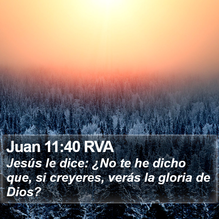 Juan 11:40 RVA Bible Study