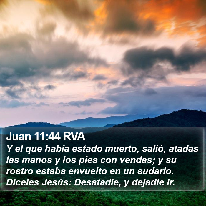 Juan 11:44 RVA Bible Study