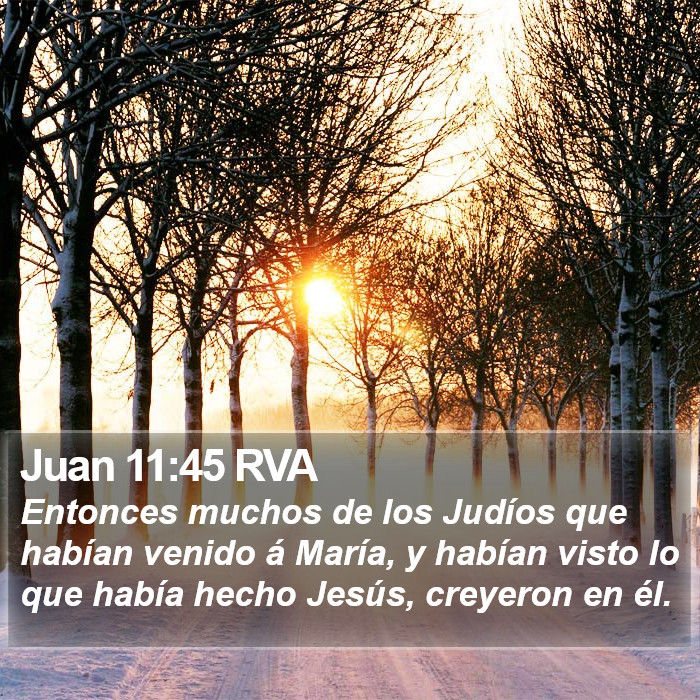 Juan 11:45 RVA Bible Study