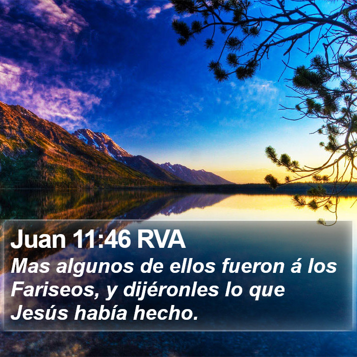 Juan 11:46 RVA Bible Study