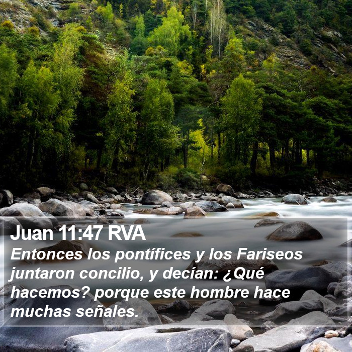 Juan 11:47 RVA Bible Study