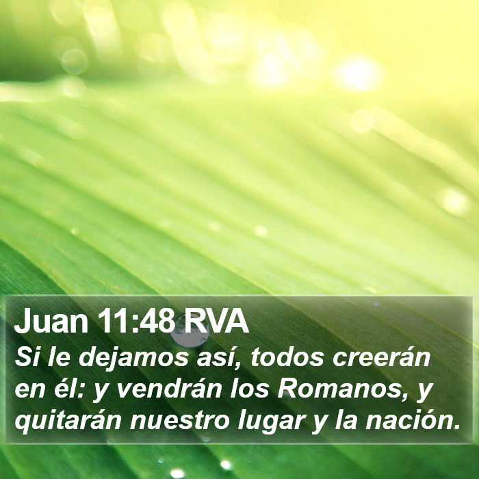 Juan 11:48 RVA Bible Study