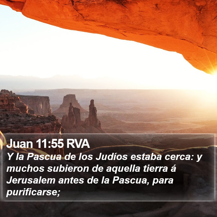 Juan 11:55 RVA Bible Study