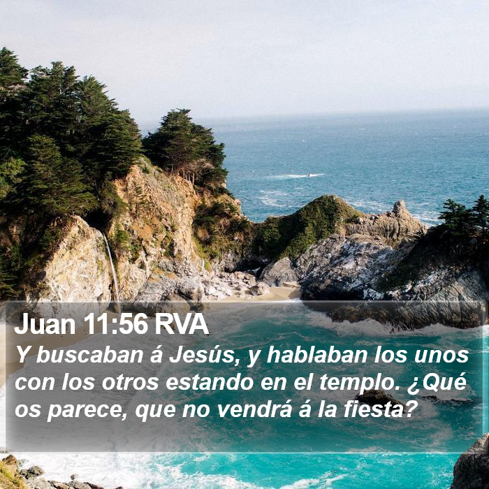 Juan 11:56 RVA Bible Study