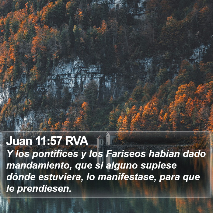 Juan 11:57 RVA Bible Study