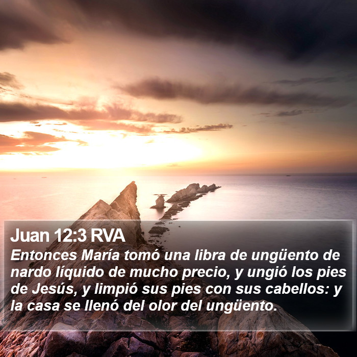 Juan 12:3 RVA Bible Study