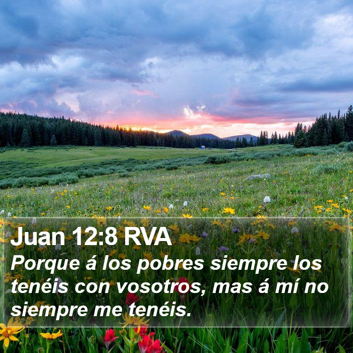 Juan 12:8 RVA Bible Study