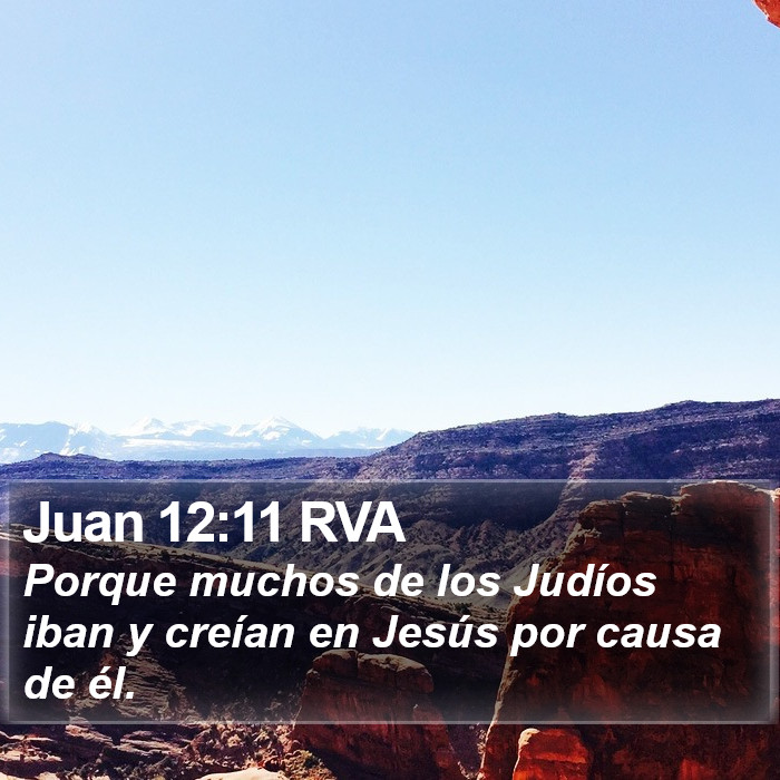 Juan 12:11 RVA Bible Study