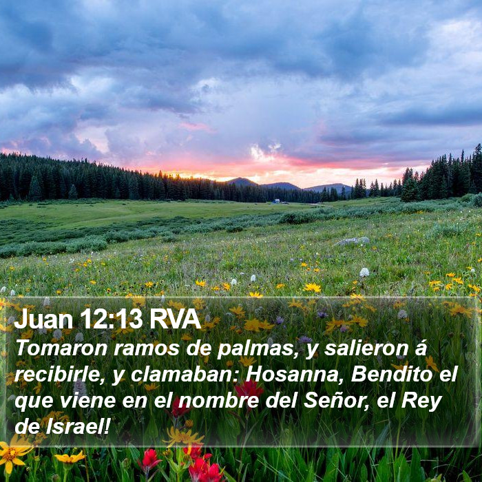 Juan 12:13 RVA Bible Study