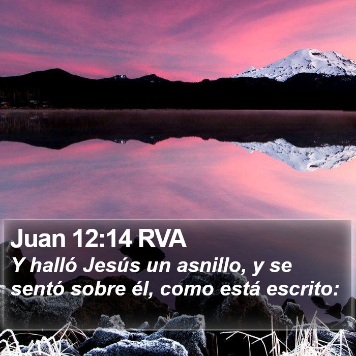 Juan 12:14 RVA Bible Study