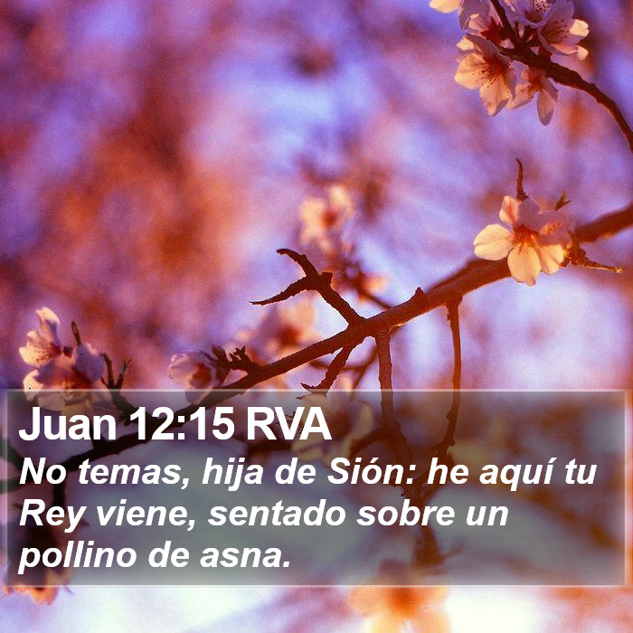 Juan 12:15 RVA Bible Study