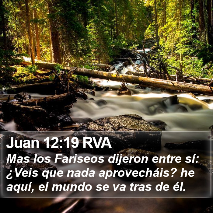 Juan 12:19 RVA Bible Study