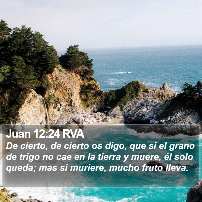 Juan 12:24 RVA Bible Study