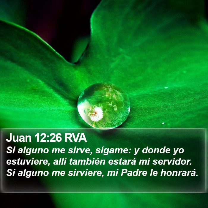 Juan 12:26 RVA Bible Study