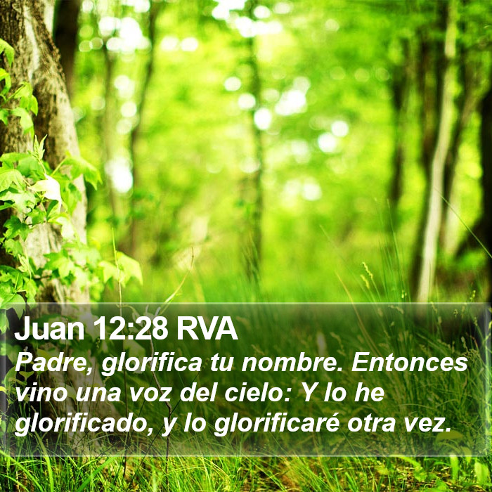 Juan 12:28 RVA Bible Study