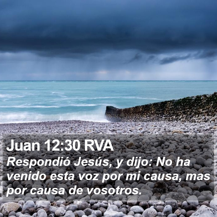 Juan 12:30 RVA Bible Study