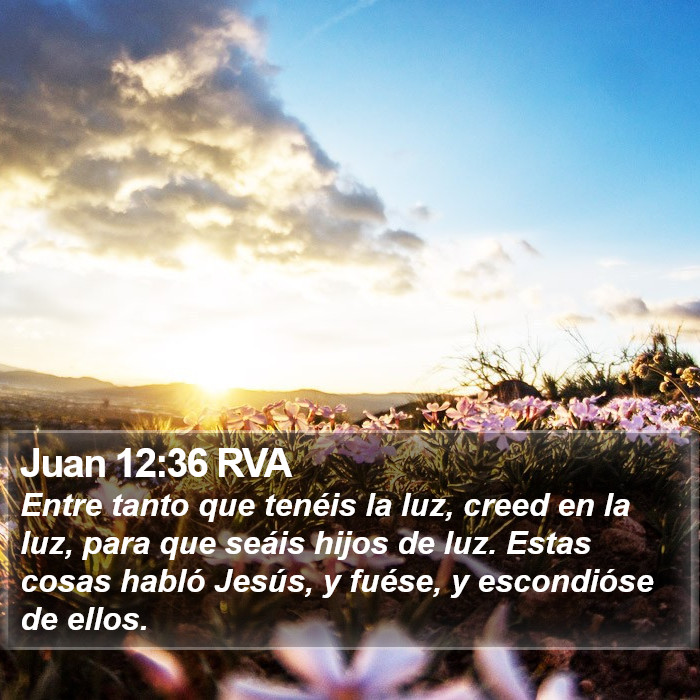 Juan 12:36 RVA Bible Study