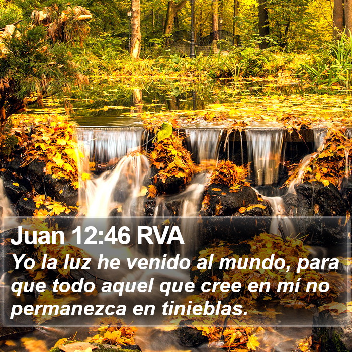 Juan 12:46 RVA Bible Study