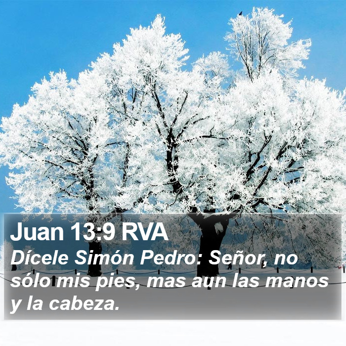 Juan 13:9 RVA Bible Study