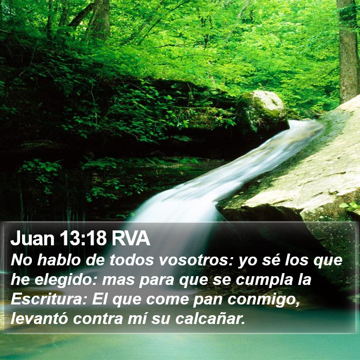 Juan 13:18 RVA Bible Study
