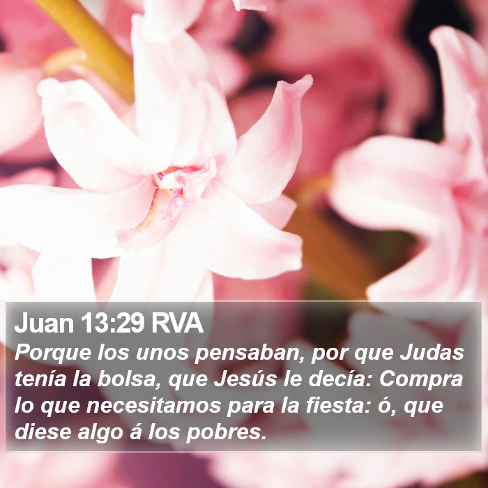 Juan 13:29 RVA Bible Study