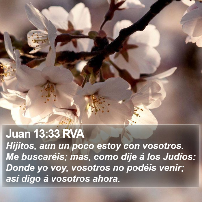 Juan 13:33 RVA Bible Study