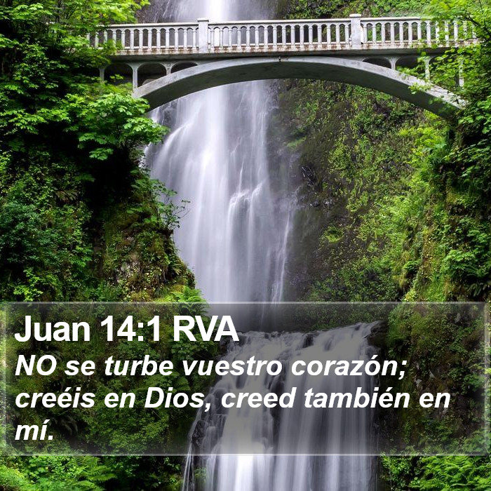 Juan 14:1 RVA Bible Study