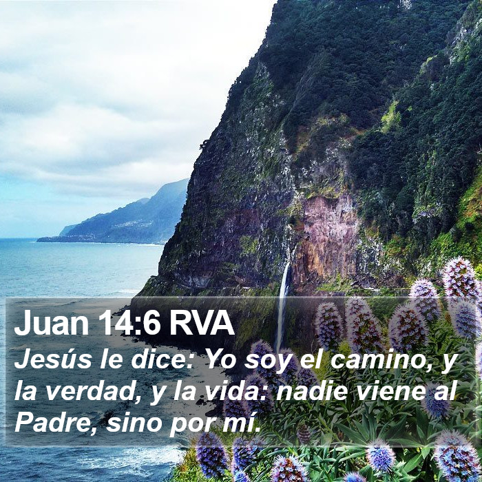 Juan 14:6 RVA Bible Study