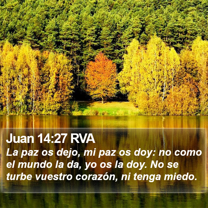 Juan 14:27 RVA Bible Study