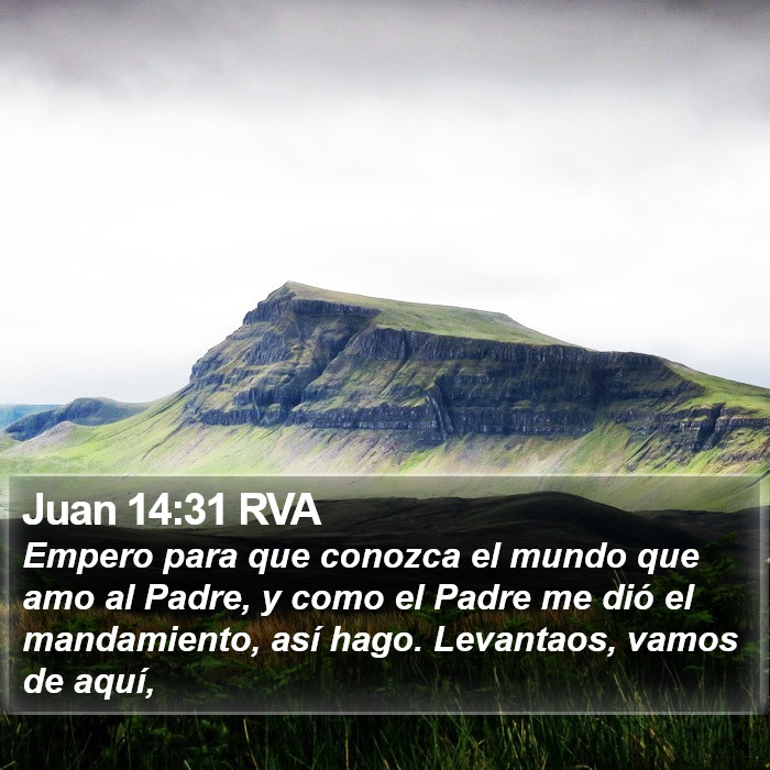 Juan 14:31 RVA Bible Study