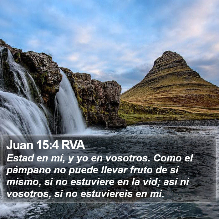 Juan 15:4 RVA Bible Study