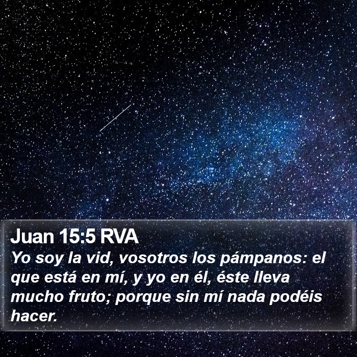 Juan 15:5 RVA Bible Study