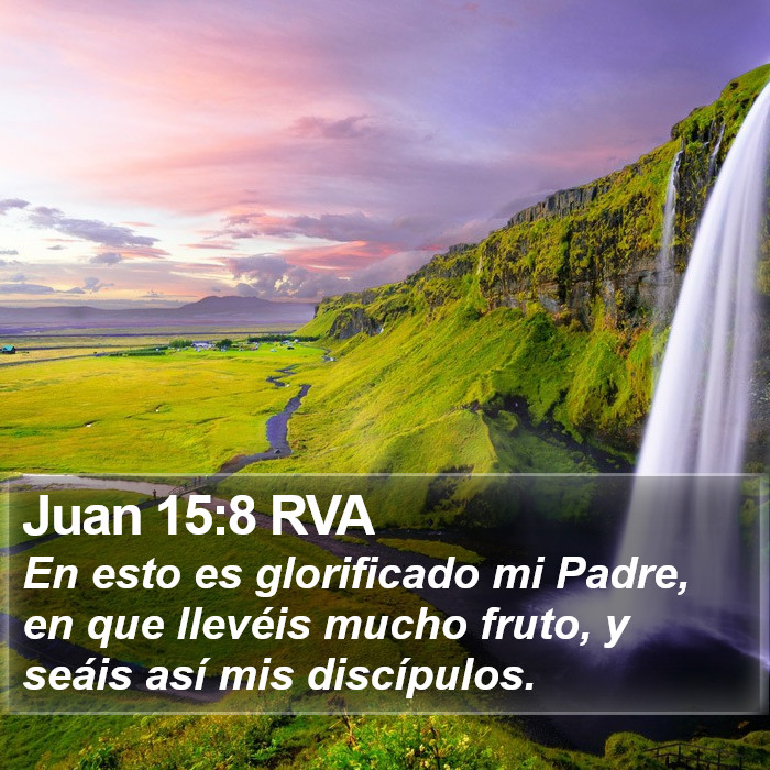 Juan 15:8 RVA Bible Study