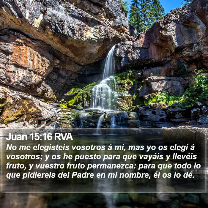 Juan 15:16 RVA Bible Study