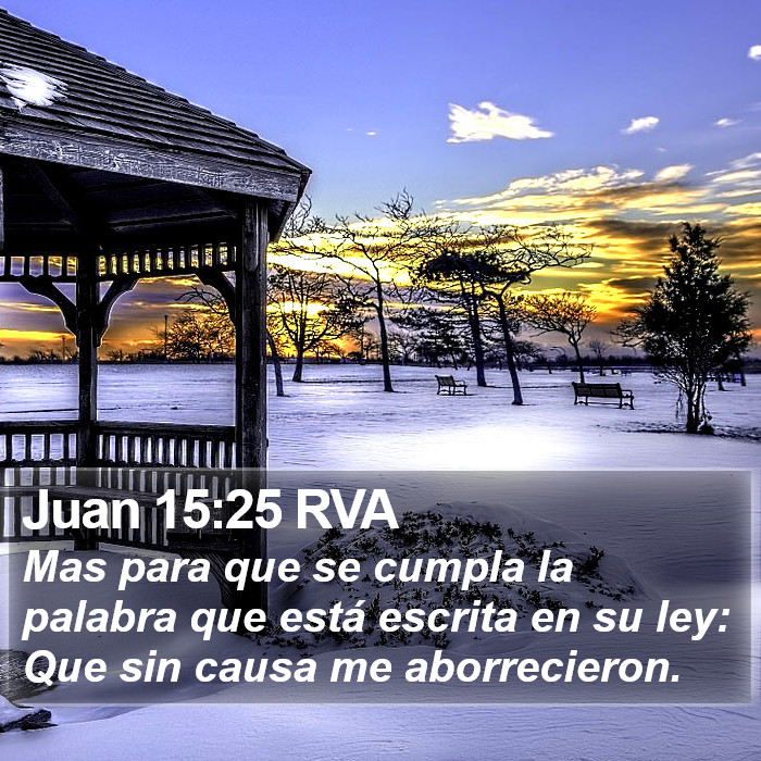 Juan 15:25 RVA Bible Study