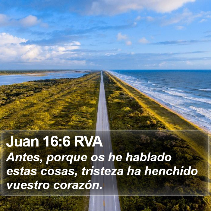 Juan 16:6 RVA Bible Study