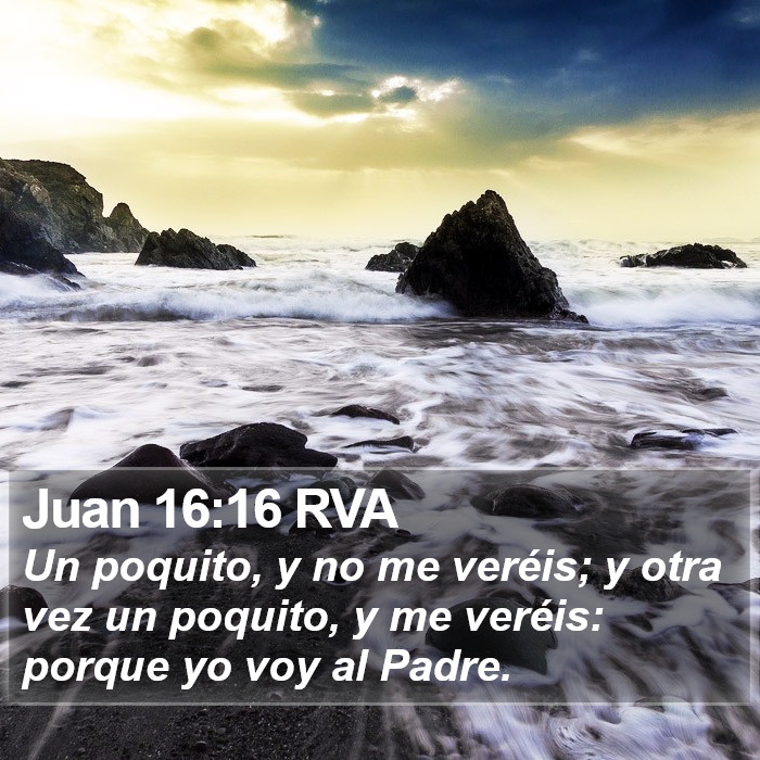 Juan 16:16 RVA Bible Study